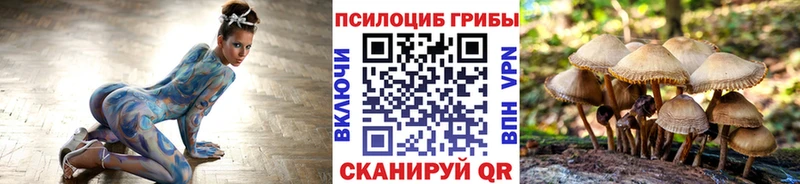 Псилоцибиновые грибы MAGIC MUSHROOMS  цены наркотик  Сретенск 