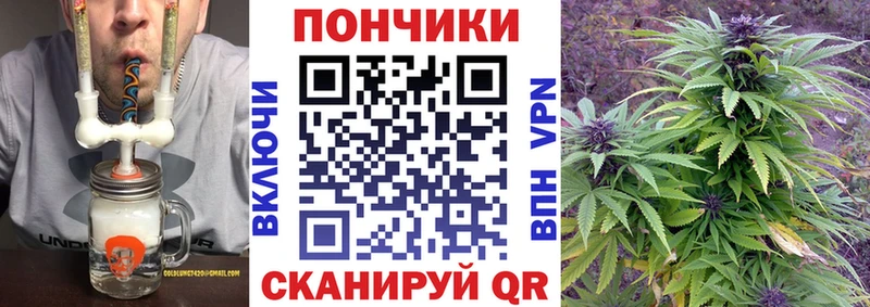 kraken онион  Сретенск  Бошки Шишки план 
